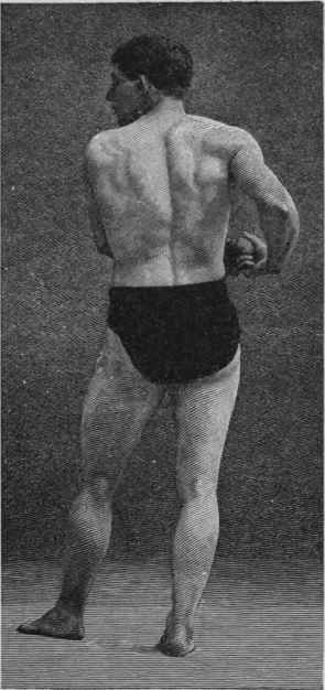 Physical Characteristics Of The Athlete 46