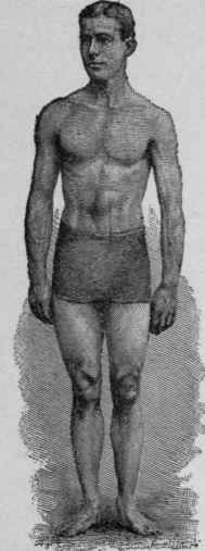 The Physical Proportions Of The Typical Man 9