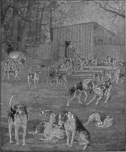 Where the Dogs are Kept. The Genesee Hunt Club, Genesee, N. Y.