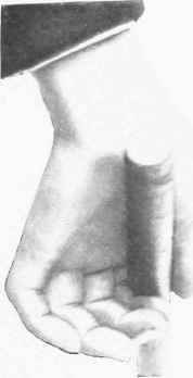 Fig. 13.   Another view.