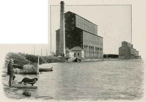 Elevators At Fort William. Capacity 2,5OO,000 Bushels.
