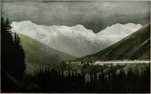 Hermit Range, From Glacier House.