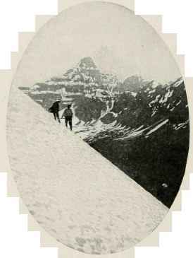 Mount Hungabee.