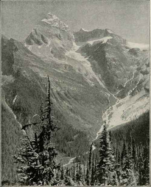 Mount Sir Donald, Showing Foot Of Illecillewaet Glacier.