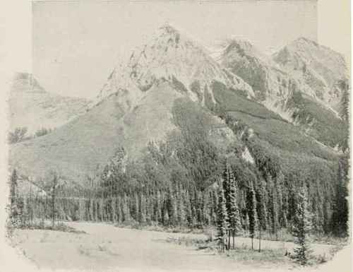 The Chancellor, Ottertail Range.