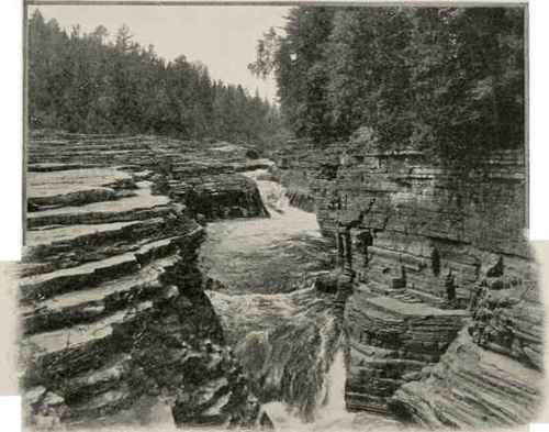 The Natural Steps.