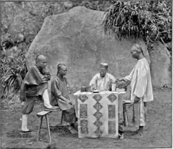 A Chinese Fortune   Teller