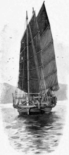 A Chinese Junk