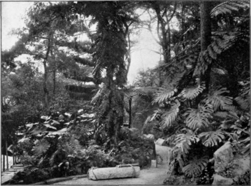 An Open   Air Conservatory