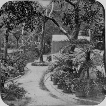 The Botanical Park, Hong   Kong