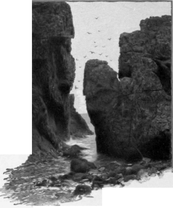 The Sea's Deep Wounds