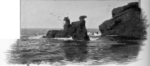 Two Danish Sea Dogs