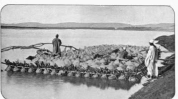 A Native Raft
