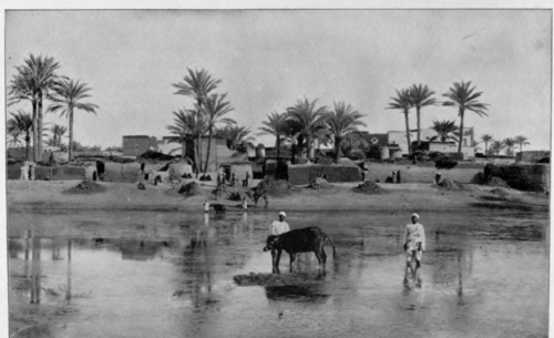 Village Near The Pyramids