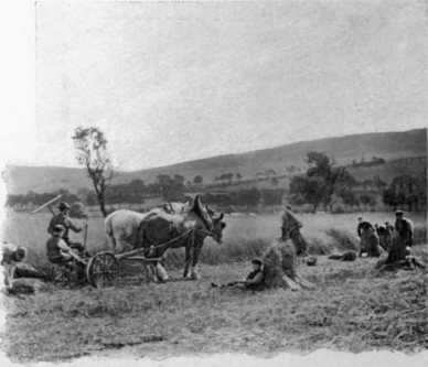 Farming In England
