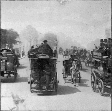 Omnibus Riding