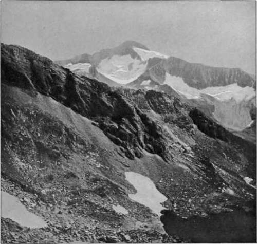 A Pyrenean Giant.