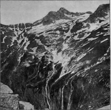 One Of The Pyrenees.