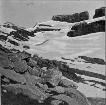 roland's cleft.