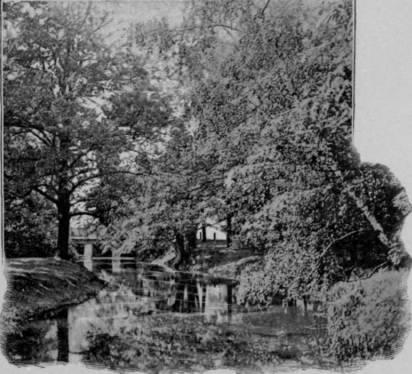 Scenery In The Thiergarten