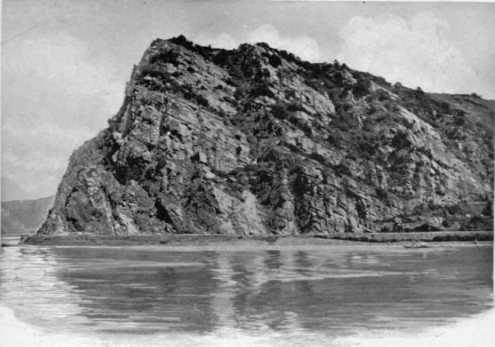 The Lorelei