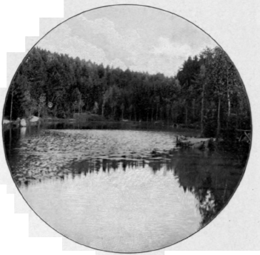 The Waldsee